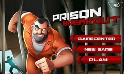 game pic for Prison Breakout